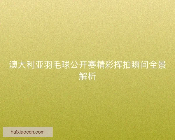 澳大利亚羽毛球公开赛精彩挥拍瞬间全景解析