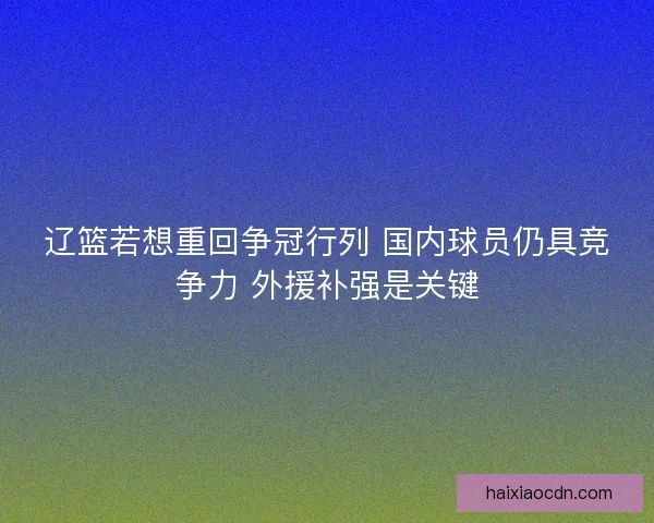 辽篮若想重回争冠行列 国内球员仍具竞争力 外援补强是关键